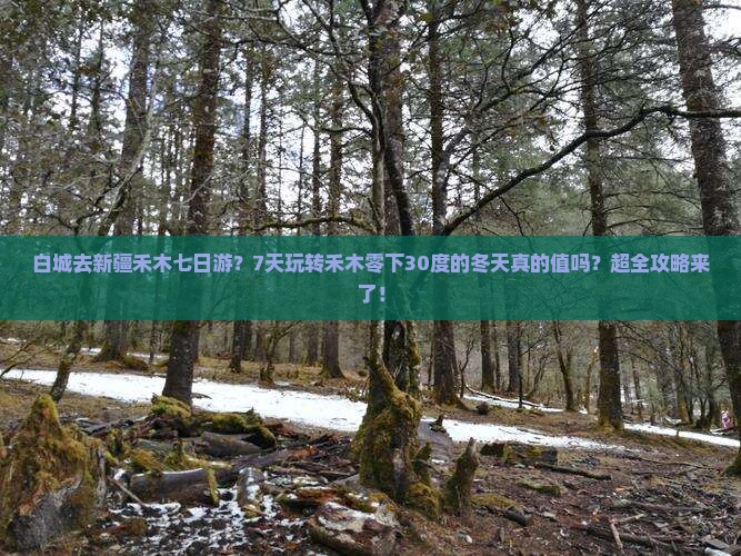 白城去新疆禾木七日游？7天玩转禾木零下30度的冬天真的值吗？超全攻略来了！