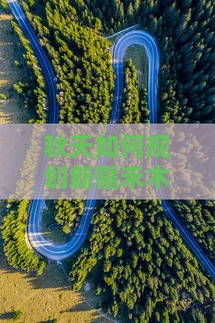 秋天如何规划新疆禾木五日游行程与预算？