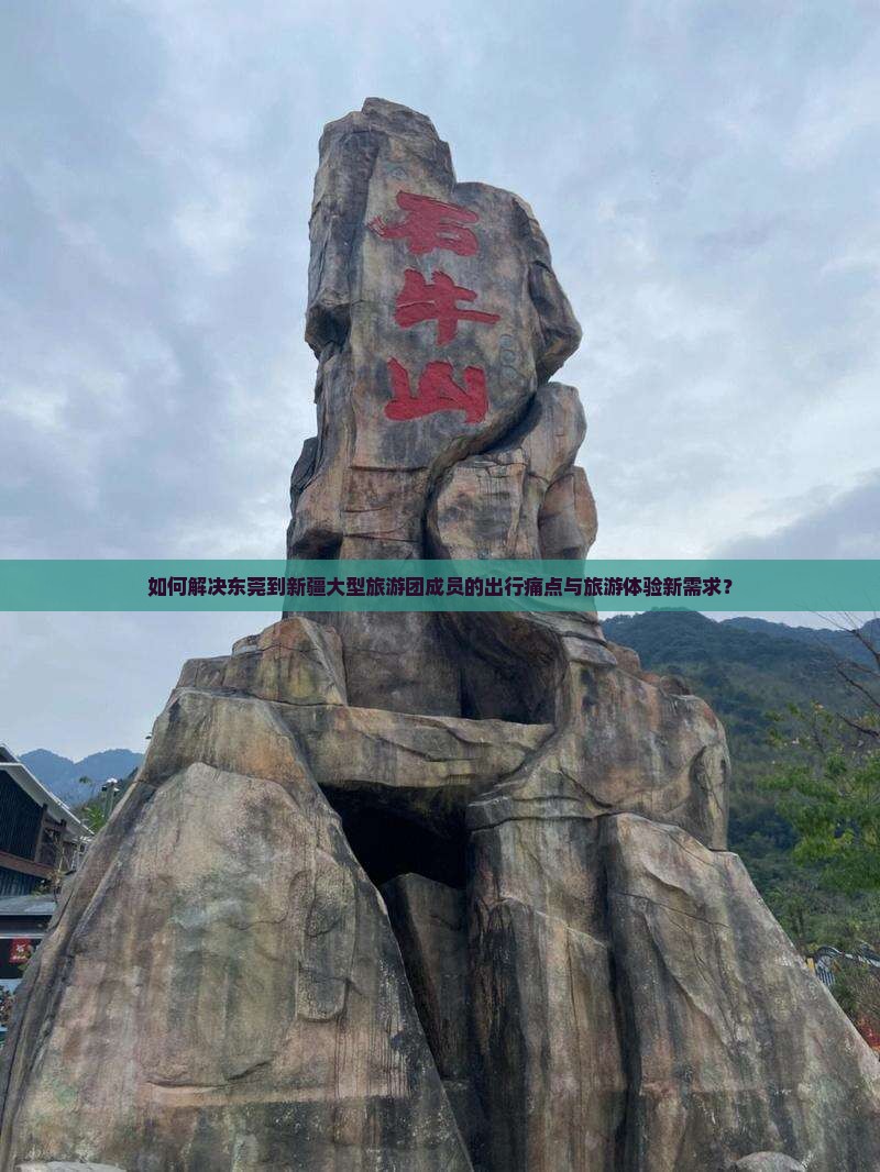 如何解决东莞到新疆大型旅游团成员的出行痛点与旅游体验新需求？