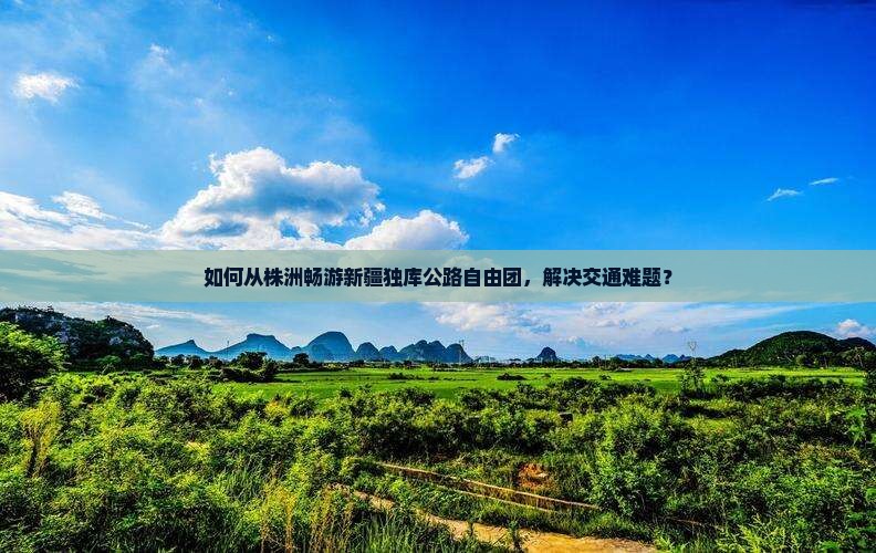 如何从株洲畅游新疆独库公路自由团，解决交通难题？