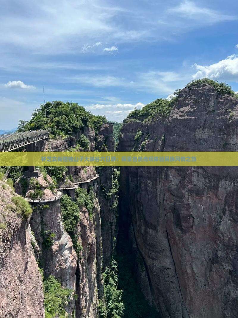 林芝去新疆独山子大峡谷六日游：探索自然奇观体验民族风情之旅