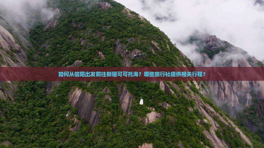 如何从信阳出发前往新疆可可托海？哪些旅行社提供相关行程？
