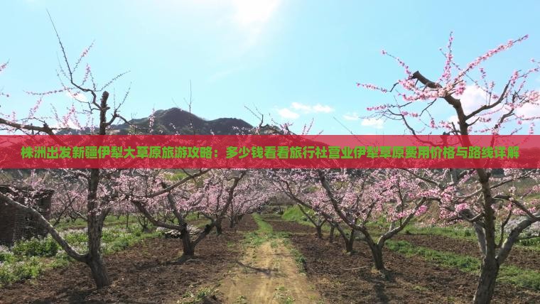 株洲出发新疆伊犁大草原旅游攻略：多少钱看看旅行社营业伊犁草原费用价格与路线详解