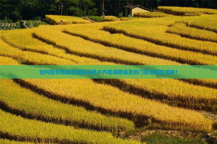 如何规划南昌至新疆乌鲁木齐旅游路线及热门景点游览攻略？