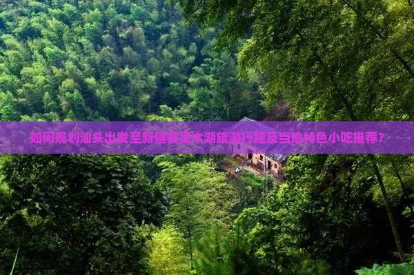如何规划汕头出发至新疆赛里木湖旅游行程及当地特色小吃推荐？
