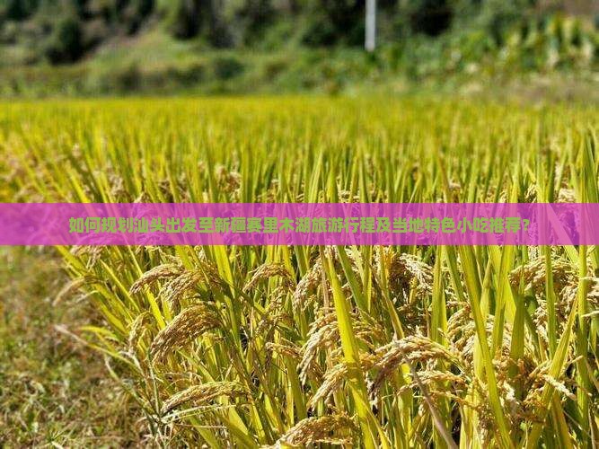 如何规划汕头出发至新疆赛里木湖旅游行程及当地特色小吃推荐？