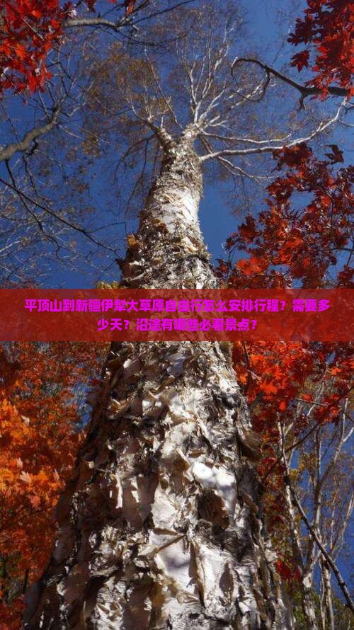 平顶山到新疆伊犁大草原自由行怎么安排行程？需要多少天？沿途有哪些必看景点？