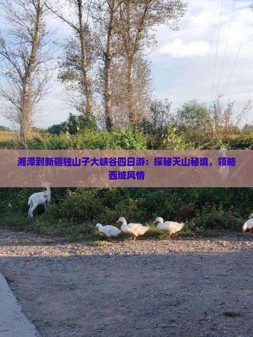 湘潭到新疆独山子大峡谷四日游：探秘天山秘境，领略西域风情