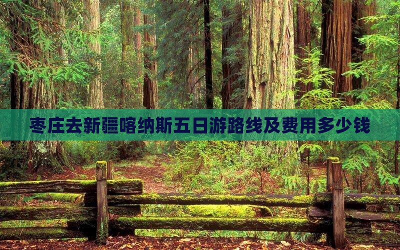 枣庄去新疆喀纳斯五日游路线及费用多少钱