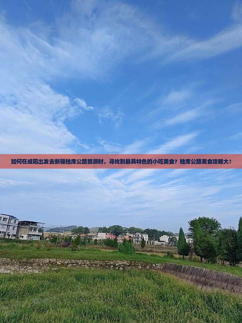 如何在咸阳出发去新疆独库公路旅游时，寻找到最具特色的小吃美食？独库公路美食攻略大！