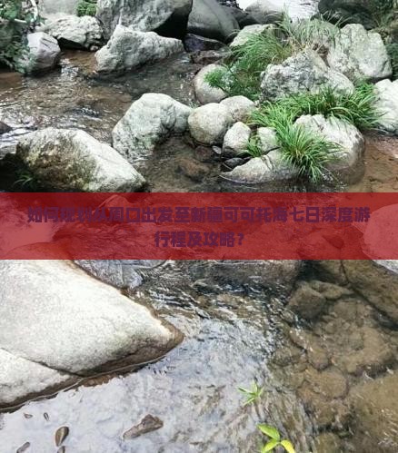 如何规划从周口出发至新疆可可托海七日深度游行程及攻略？