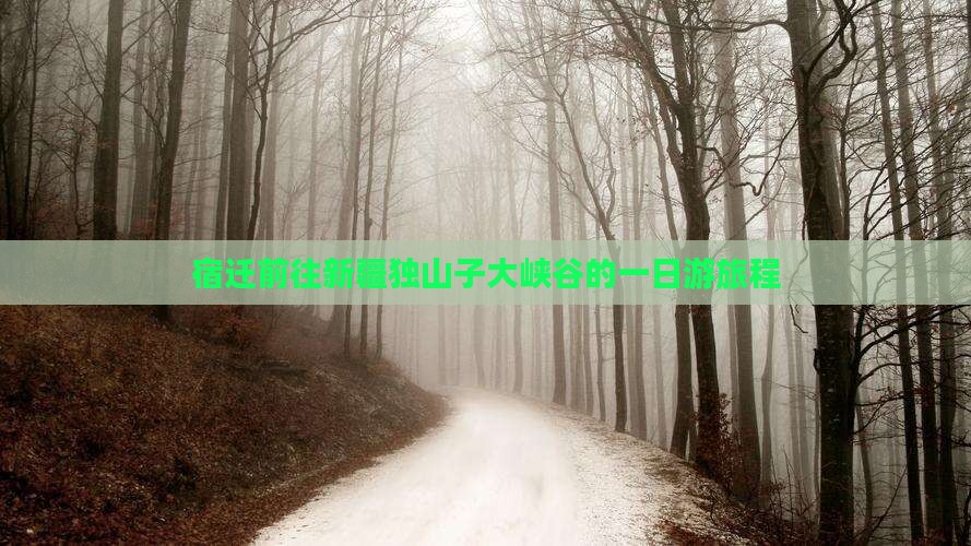 宿迁前往新疆独山子大峡谷的一日游旅程