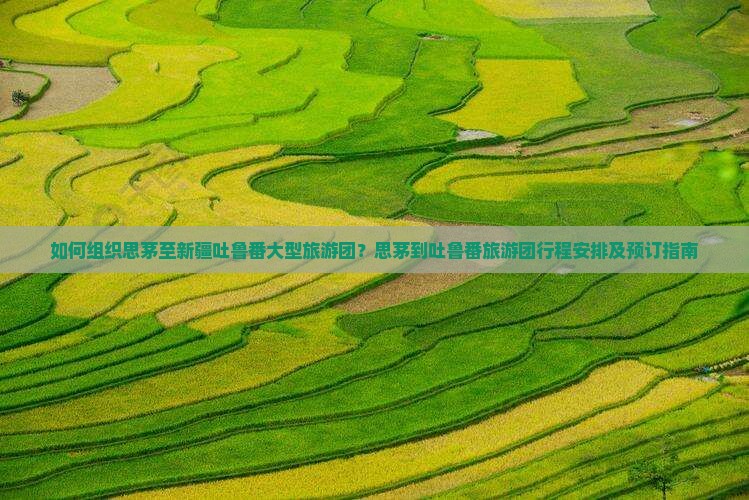 如何组织思茅至新疆吐鲁番大型旅游团？思茅到吐鲁番旅游团行程安排及预订指南