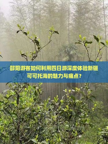 邵阳游客如何利用四日游深度体验新疆可可托海的魅力与痛点？