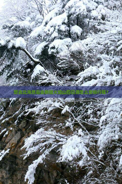 想去北海然后去新疆火焰山四日游怎么安排行程？
