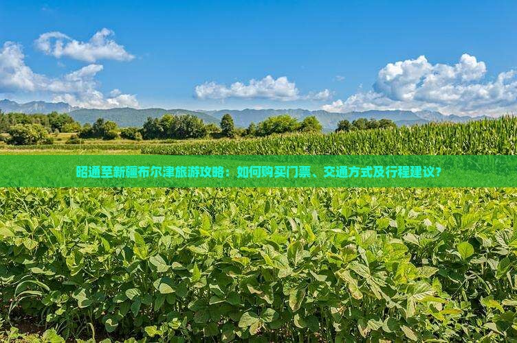 昭通至新疆布尔津旅游攻略：如何购买门票、交通方式及行程建议？