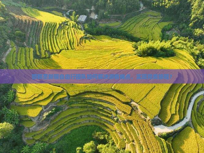 邯郸至新疆自由行团队如何解决游客痛点，实现完美旅程？