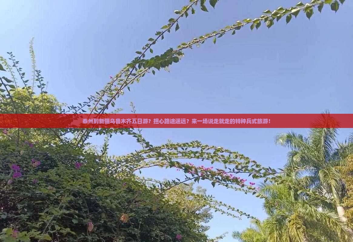 泰州到新疆乌鲁木齐五日游？担心路途遥远？来一场说走就走的特种兵式旅游！