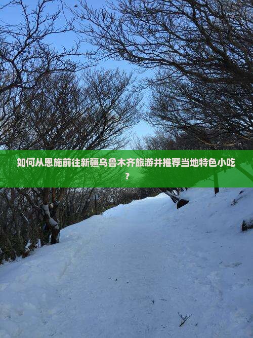 如何从恩施前往新疆乌鲁木齐旅游并推荐当地特色小吃？