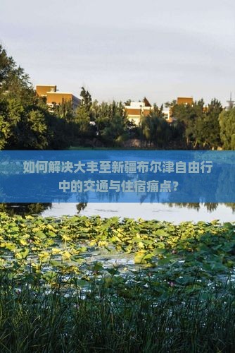 如何解决大丰至新疆布尔津自由行中的交通与住宿痛点？