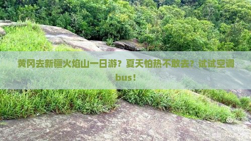 黄冈去新疆火焰山一日游？夏天怕热不敢去？试试空调bus！