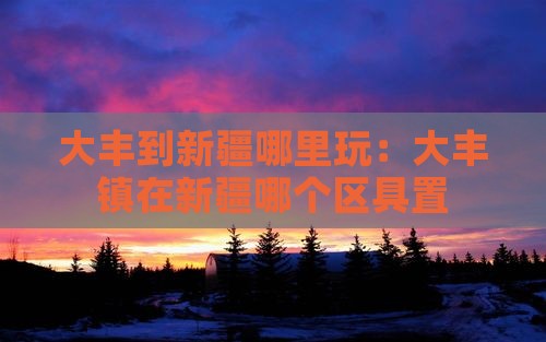 大丰到新疆哪里玩：大丰镇在新疆哪个区具置