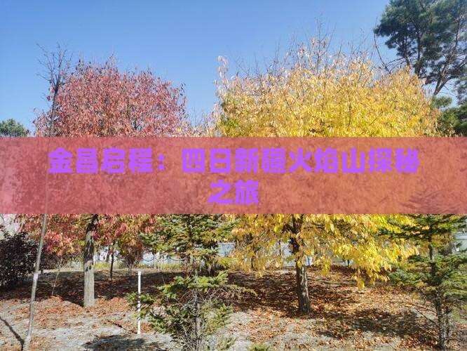金昌启程：四日新疆火焰山探秘之旅