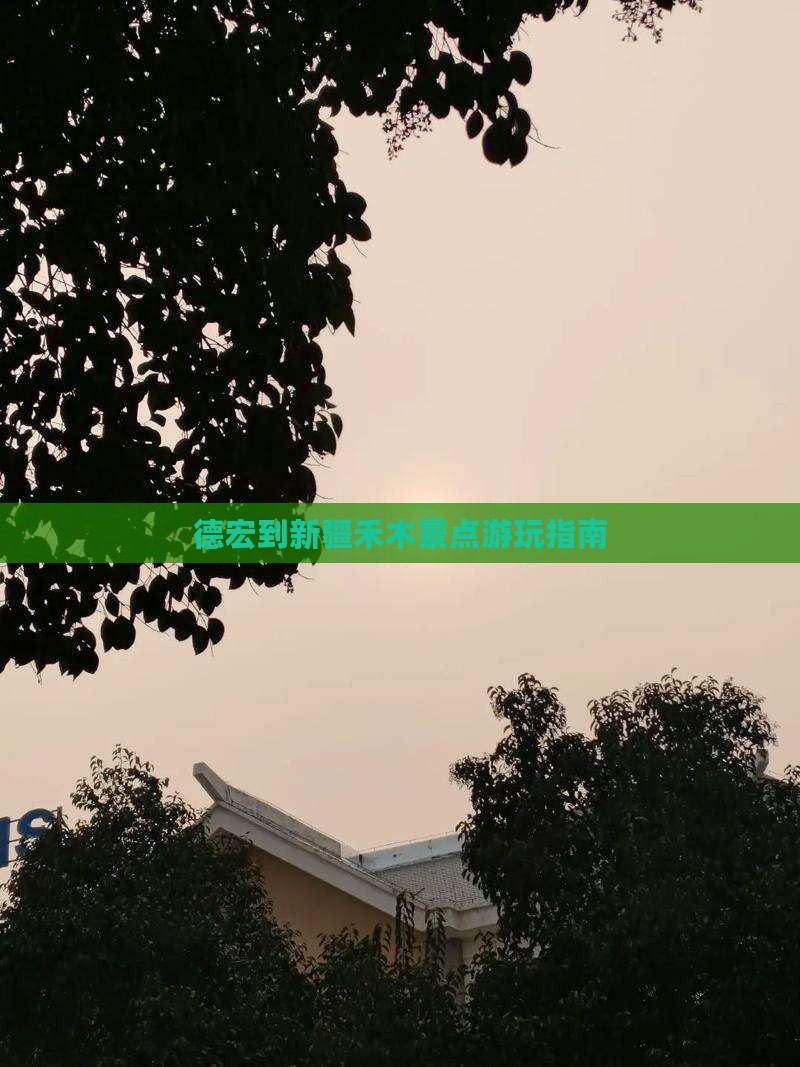 德宏到新疆禾木景点游玩指南