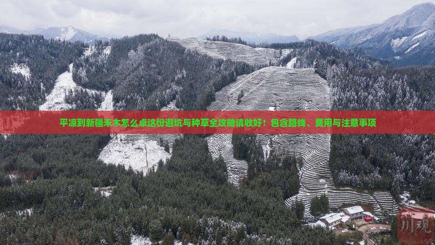 平凉到新疆禾木怎么卓这份避坑与种草全攻略请收好！包含路线、费用与注意事项