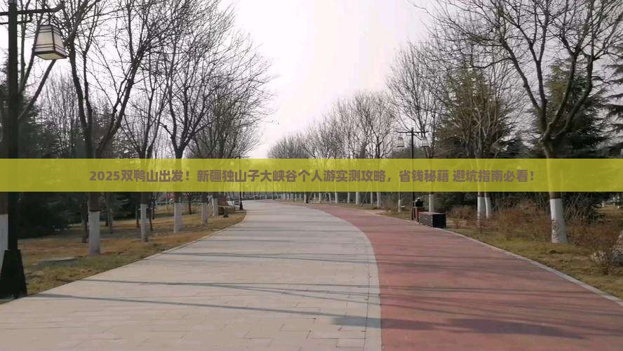 双鸭山去新疆独山子大峡谷个人游