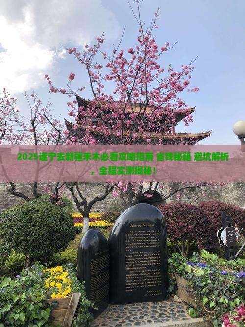 遂宁去新疆禾木旅行社