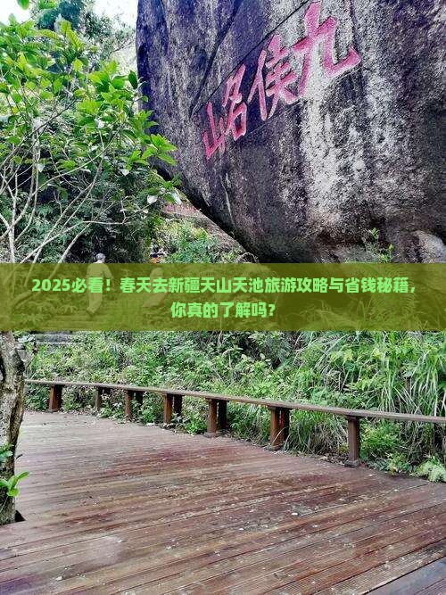 春天去新疆天山天池旅游