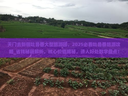 天门去新疆吐鲁番大型旅游团