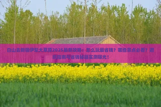 白山去新疆伊犁大草原攻略