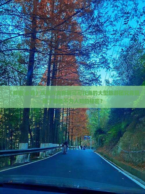 嘉兴到新疆可可托海大型旅游团