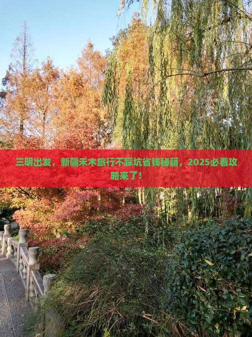 三明到新疆禾木旅行社