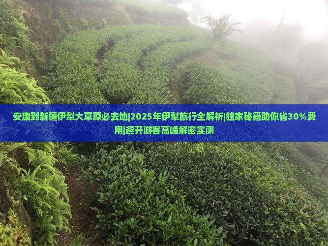 安康到新疆伊犁大草原必去地