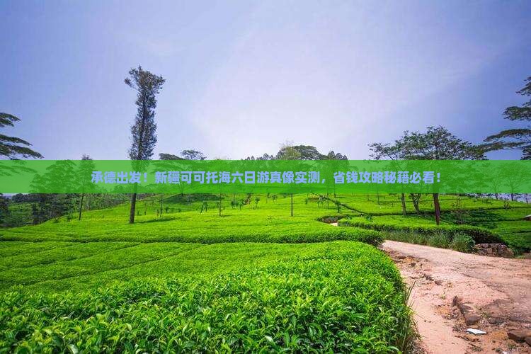 承德到新疆可可托海六日游