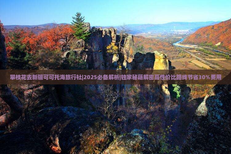 攀枝花去新疆可可托海旅行社