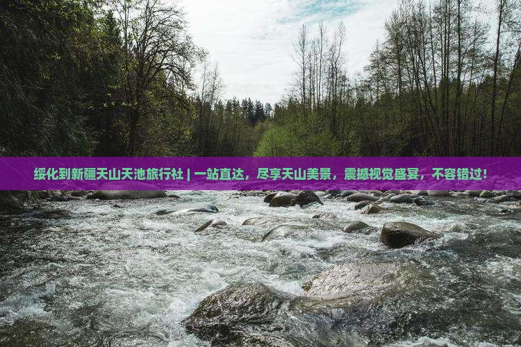 绥化到新疆天山天池旅行社