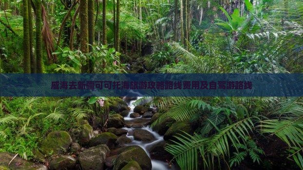 威海去新疆可可托海旅游