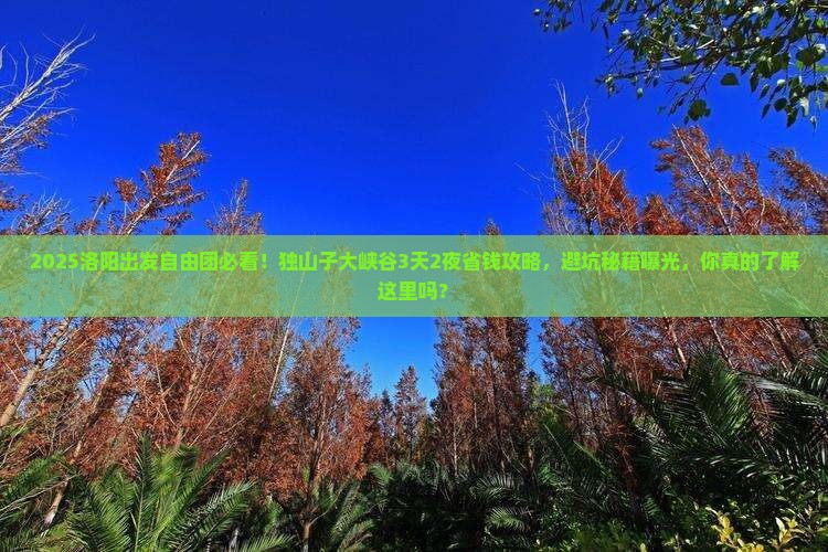 洛阳去新疆独山子大峡谷自由团