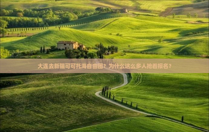 大连去新疆可可托海自由团
