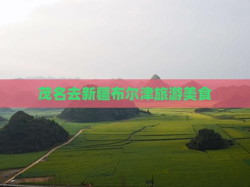 茂名去新疆布尔津旅游小吃