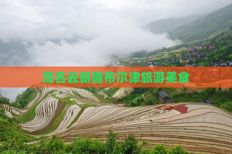 茂名去新疆布尔津旅游小吃
