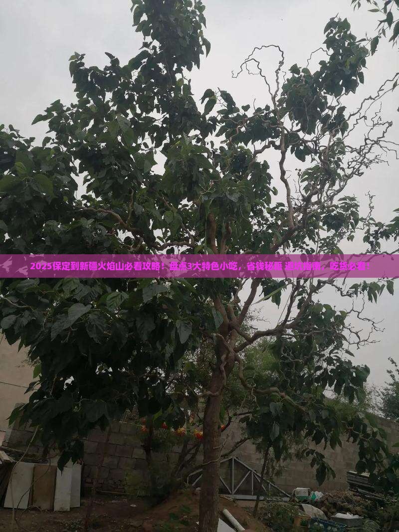 保定到新疆火焰山旅游小吃