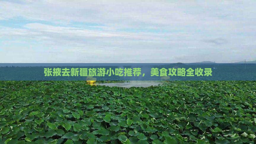 张掖去新疆旅游小吃