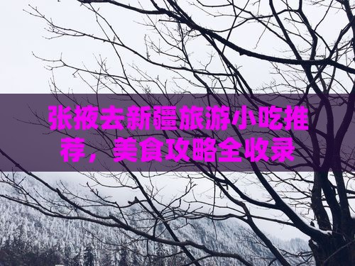 张掖去新疆旅游小吃