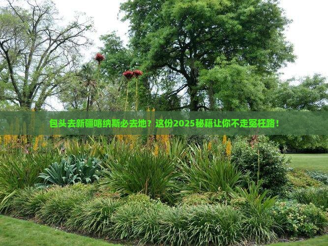 包头去新疆喀纳斯必去地