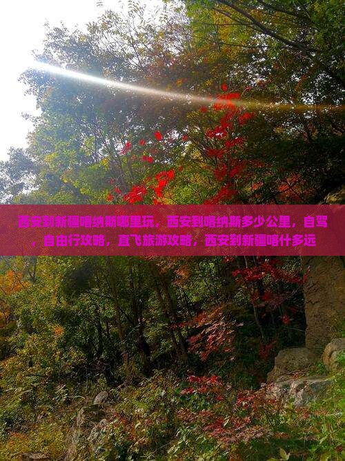西安到新疆喀纳斯哪里玩